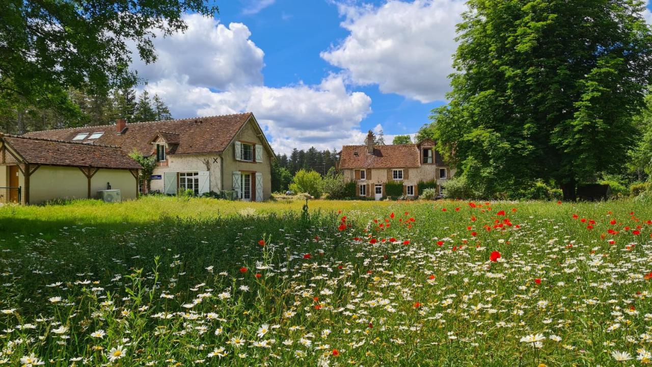 Chambres D'Hotes Le Moulin De Crouy エクステリア 写真